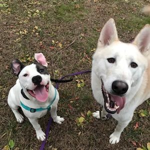 Meet your Posher, Tabitha